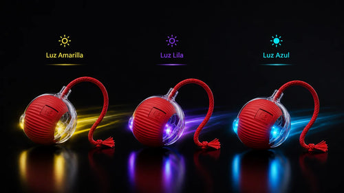 Luz LED en amarillo, lila y azul